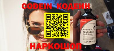 стафф Кингисепп