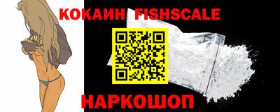 стафф Кингисепп