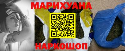 стафф Кингисепп
