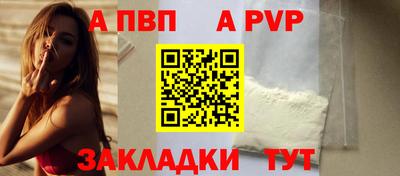 стафф Кингисепп