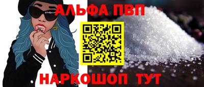 стафф Кингисепп