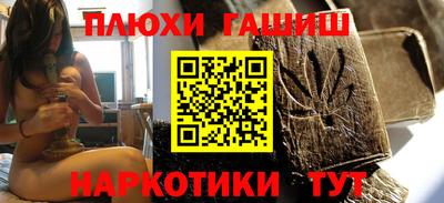 стафф Кингисепп