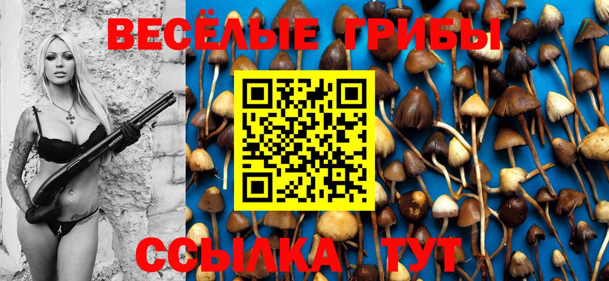 Псилоцибиновые грибы Magic Shrooms Южноуральск